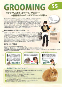 うさぎ手帳55