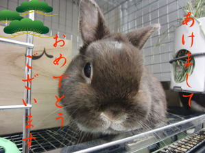 BlogPaint