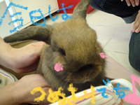 BlogPaint