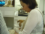 blog0902-1