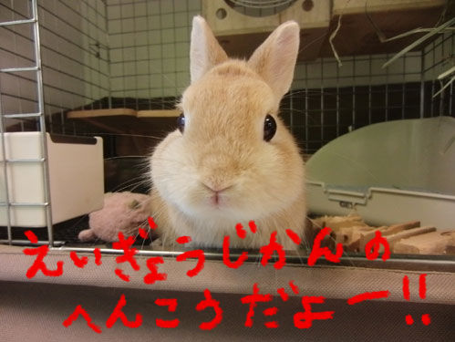 BlogPaint