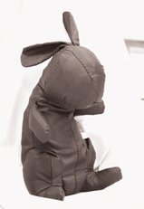 黒ウサギ