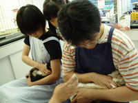 blog0711-2