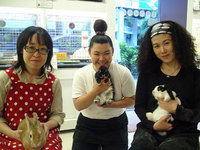 blog0620-5