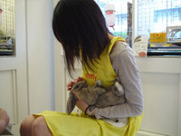 blog0722-3
