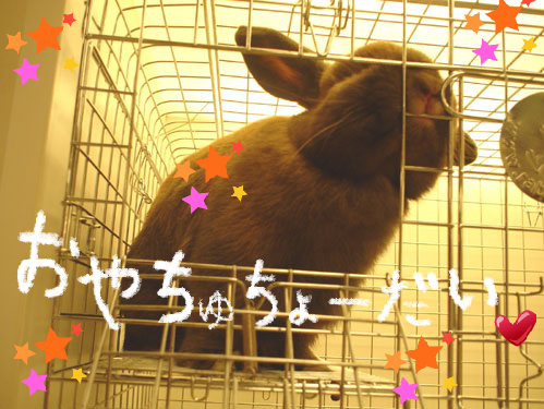 BlogPaint