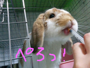 BlogPaint