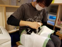 20180508_130250