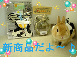 BlogPaint