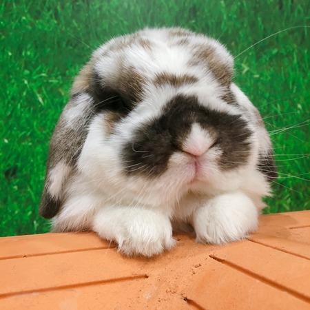 D0DFEAFC-E9F1-4859-B2BF-A1A6D2DD0B71