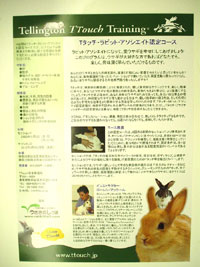 blog0519-1