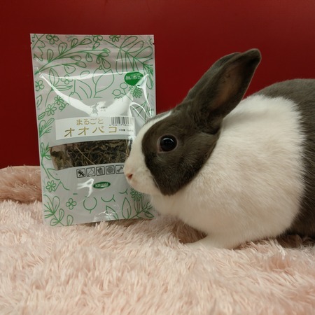 おやつご紹介 : うさぎブログ うさぎのしっぽ公式ブログ「日々しっぽ」