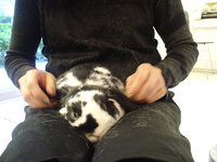 blog0620-2