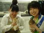 BLOG040604
