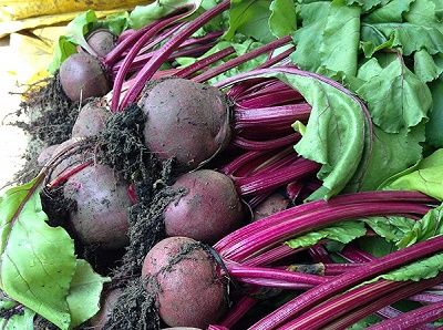 話題のダイエット食品ビーツ 手軽に購入できる通販がおすすめ ダイエットサプリと食品の口コミレビュー 話題のスーパーフード5選