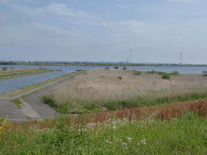2017_05060280