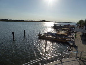 2017_05060189
