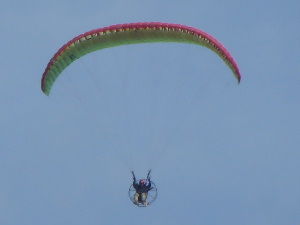 2017_05060275