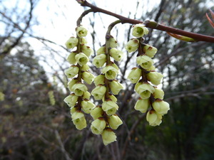 2016_03260024