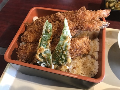 ジュンドッグ5