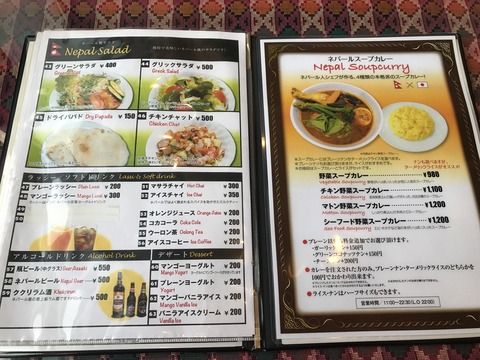 ナマステネパール11