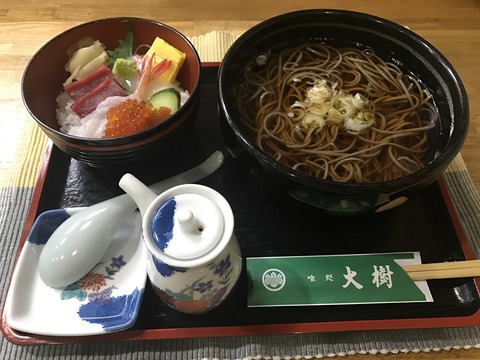 大樹4
