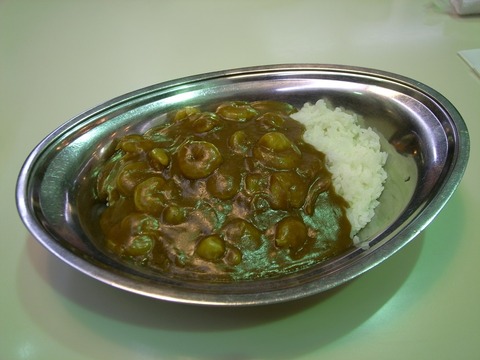 インディアン8