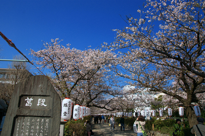 DSC00493
