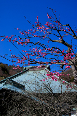DSC09521