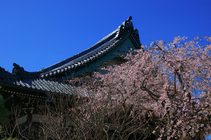 DSC00114
