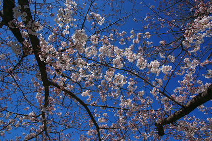 DSC00304
