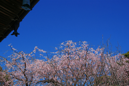 DSC00075