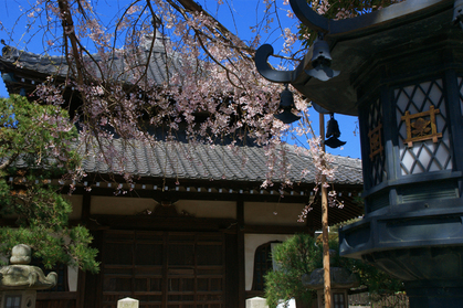 DSC00105