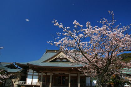 DSC00415