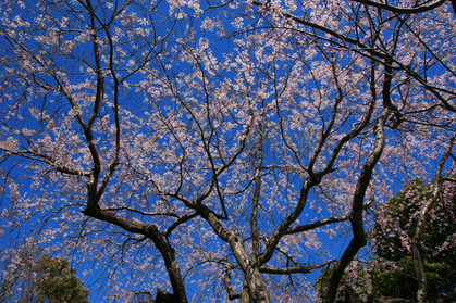 DSC00087