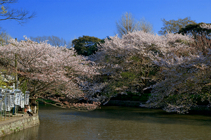 DSC00520