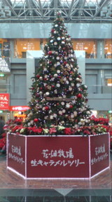 cdea8148.jpg