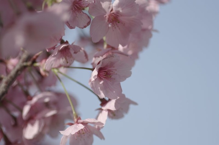 055