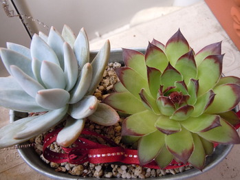 DSCN1058