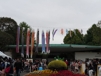 DSCN1029