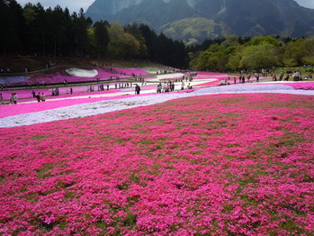 DSCN0935