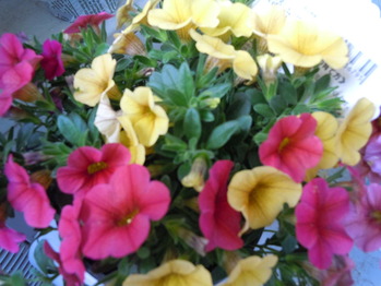 DSCN1115