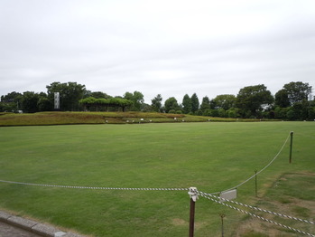 DSCN1142