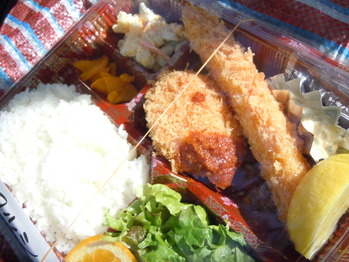 DSCN0923
