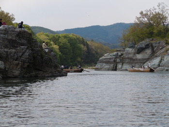 DSCN0984