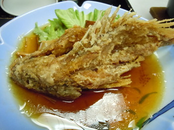 DSCN0811