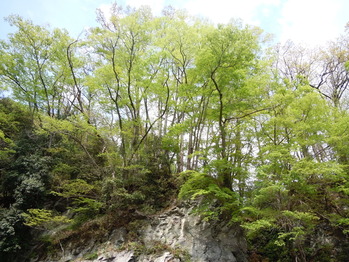 DSCN0981