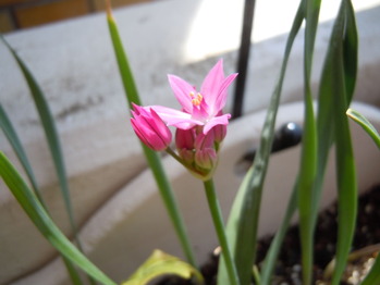 DSCN1079