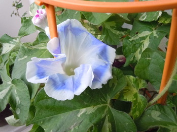 DSCN1153