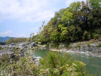 DSCN0968